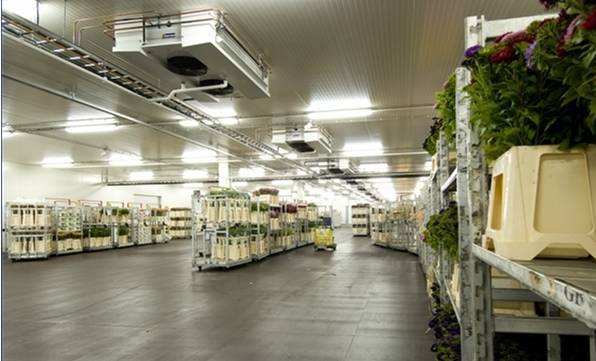 寧波建冷庫(kù)多少錢(qián)一立方？每立方能存多少貨物